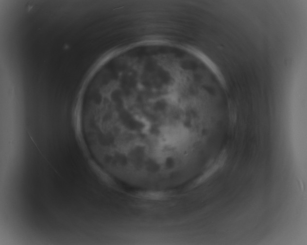 X0000101481245200807071457