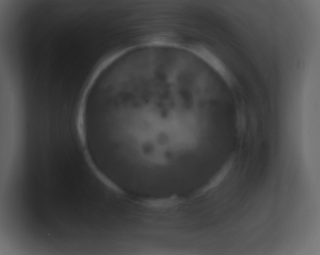 X0000101481247200807071457