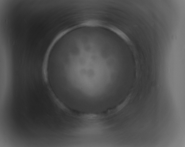 X0000101481248200807071457