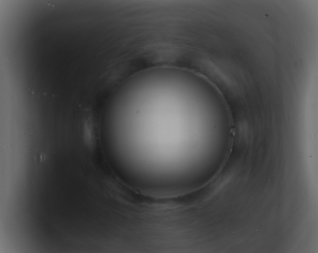 X0000101481250200807071456