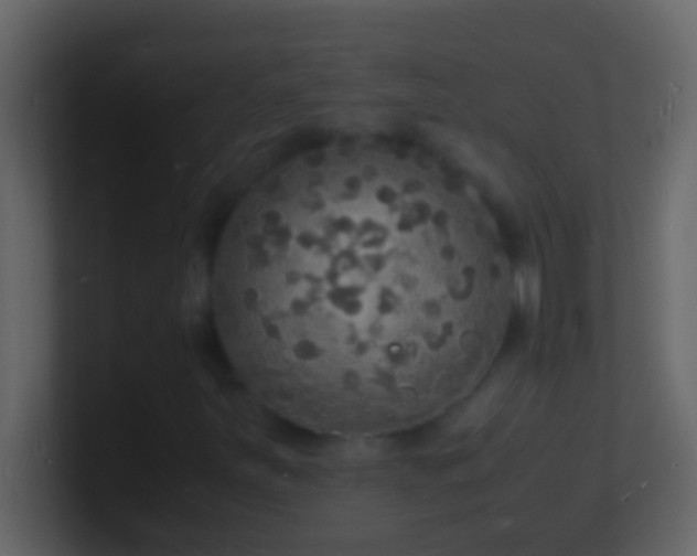 X0000101481251200807071456