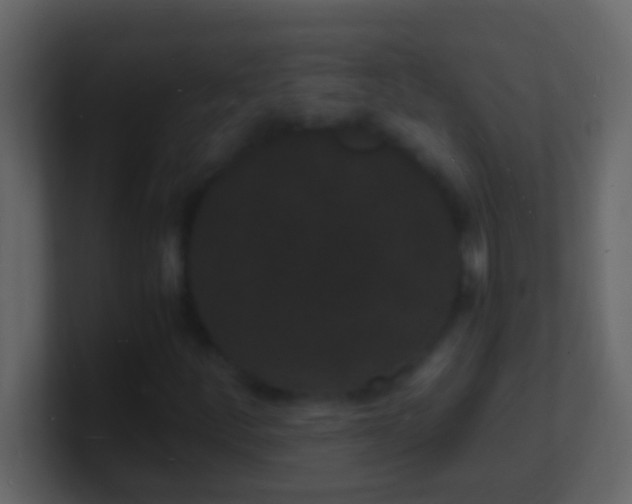 X0000101481252200807071456