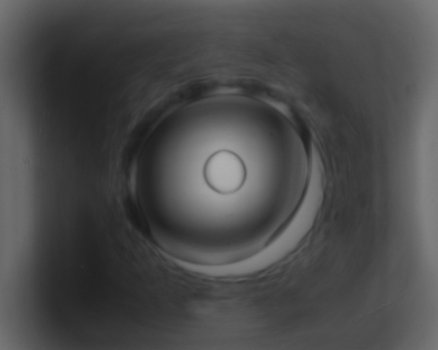 X0000101481253200807071456