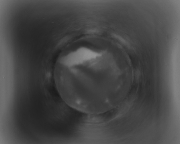 X0000101481254200807071456