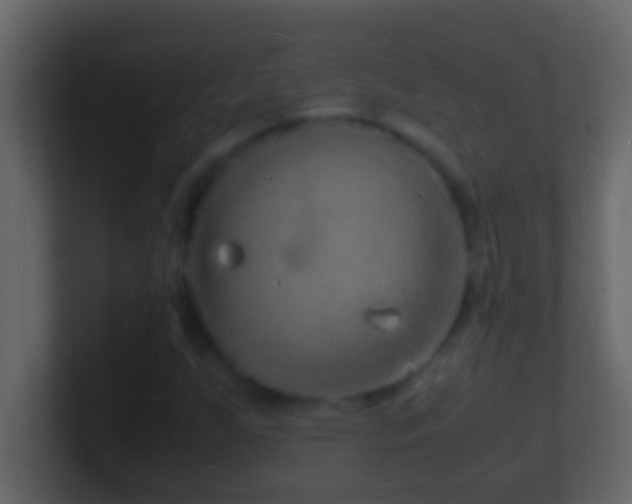 X0000101481255200807071456