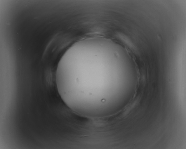X0000101481258200807071456