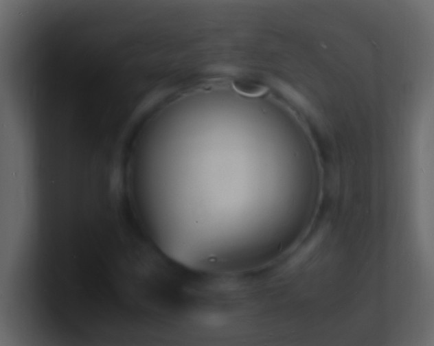 X0000101481259200807071456
