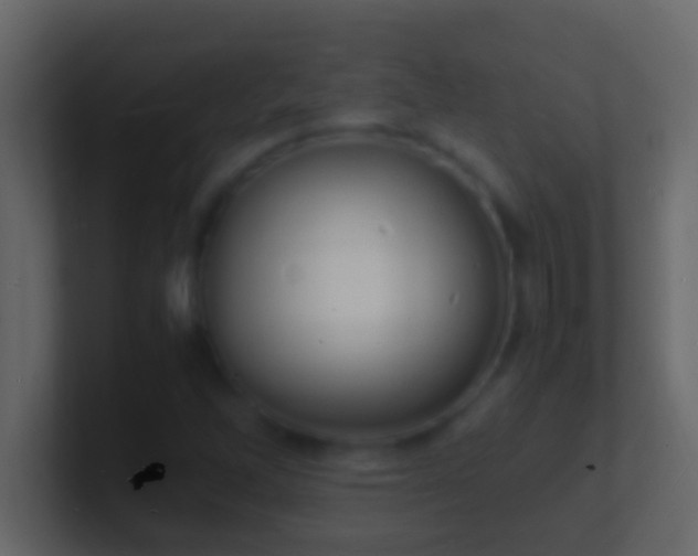X0000101481262200807071456