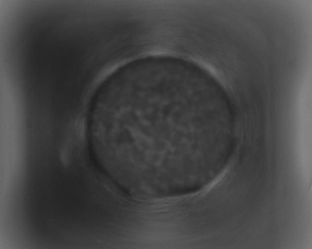 X0000101481263200807071456