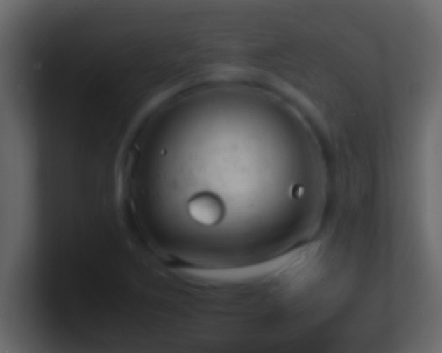 X0000101481267200807071456