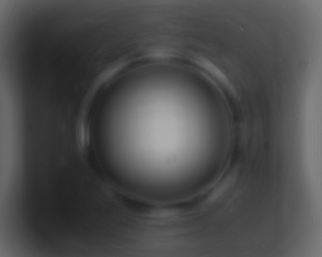 X0000101481269200807071456