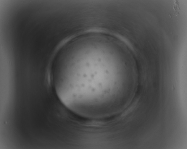 X0000101481271200807071456