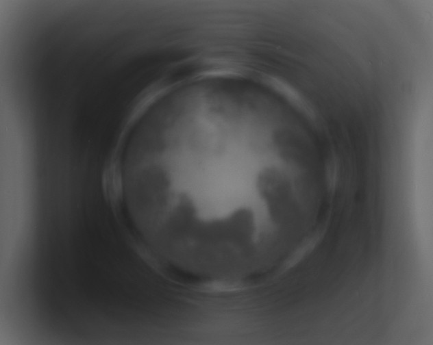 X0000101481274200807071456
