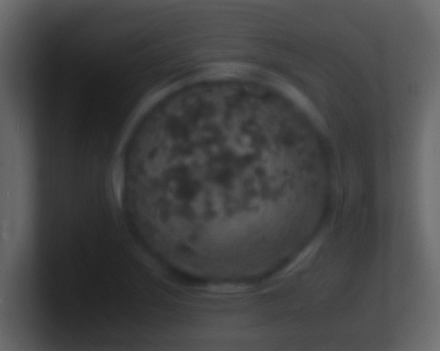 X0000101481275200807071456