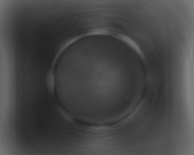 X0000101481276200807071456