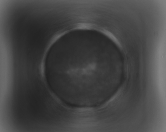 X0000101481277200807071456