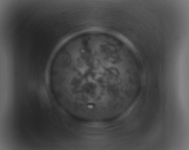 X0000101481279200807071456