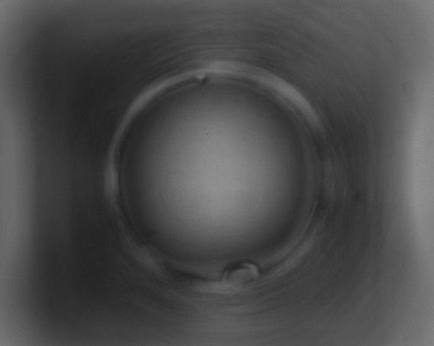 X0000101481280200807071456
