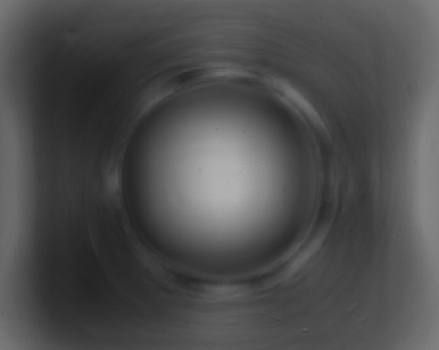 X0000101481281200807071456