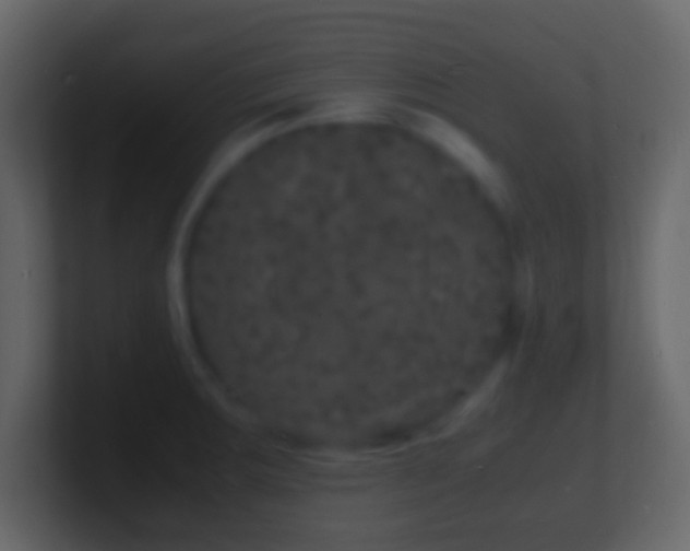 X0000101481283200807071456