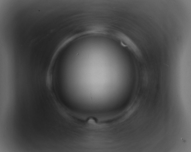 X0000101481284200807071456
