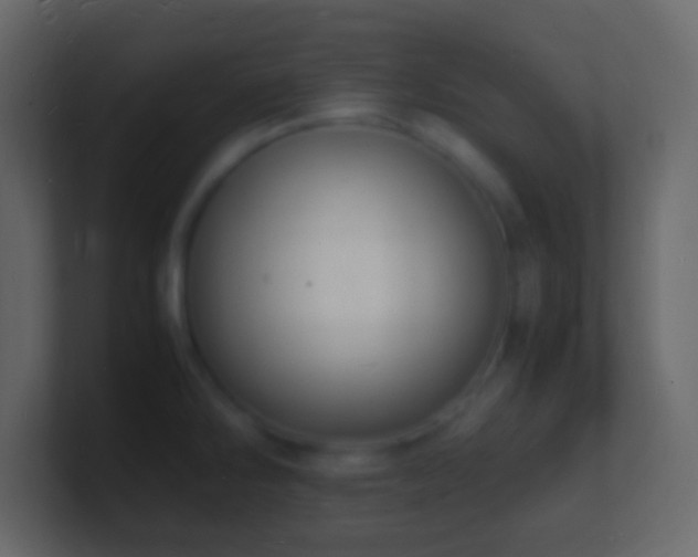 X0000101481286200807071456