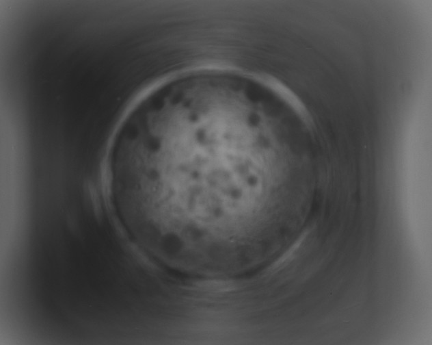 X0000101481287200807071456