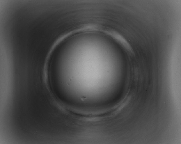 X0000101481288200807071456
