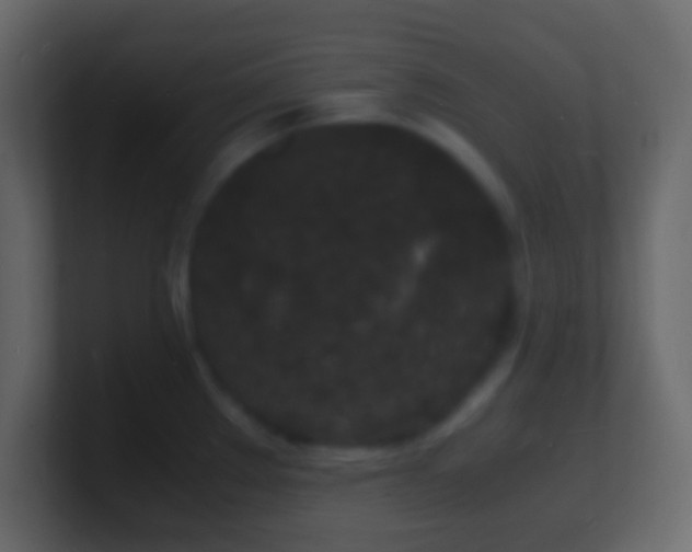 X0000101481289200807071456