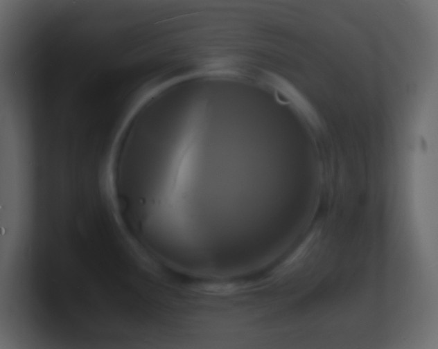 X0000101481291200807071456