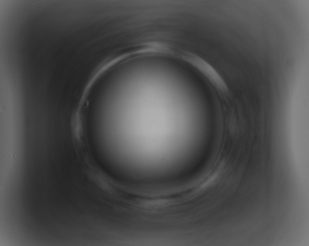 X0000101481292200807071456
