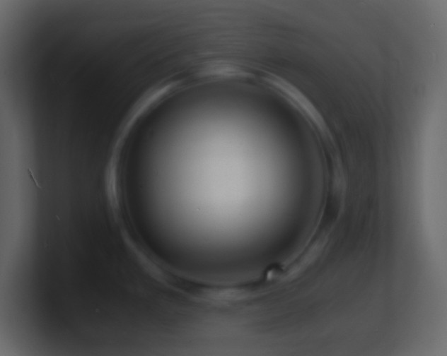 X0000101481293200807071456