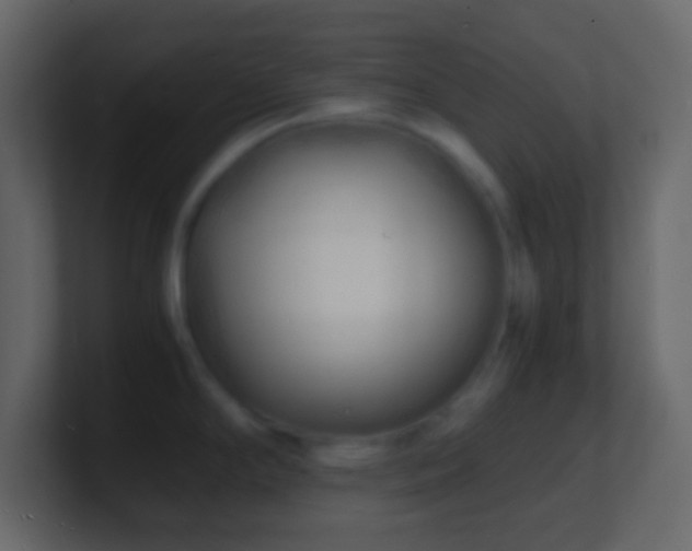 X0000101481294200807071456