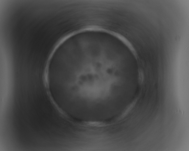X0000101481295200807071456