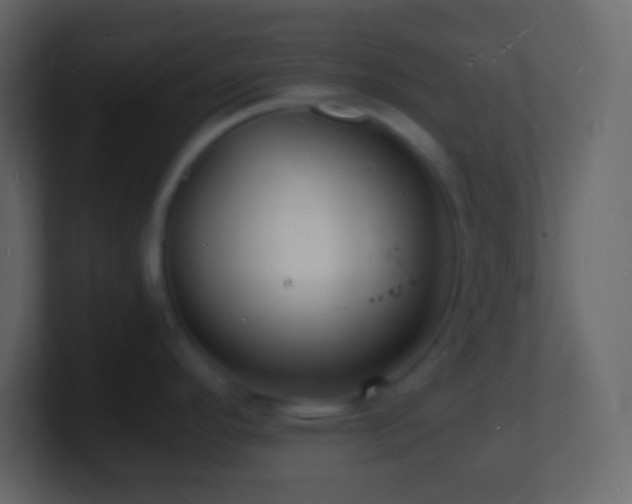 X0000101481296200807071456