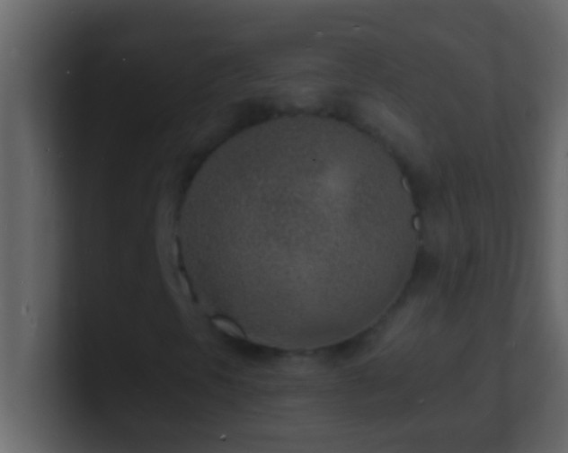 X0000101481297200807071455