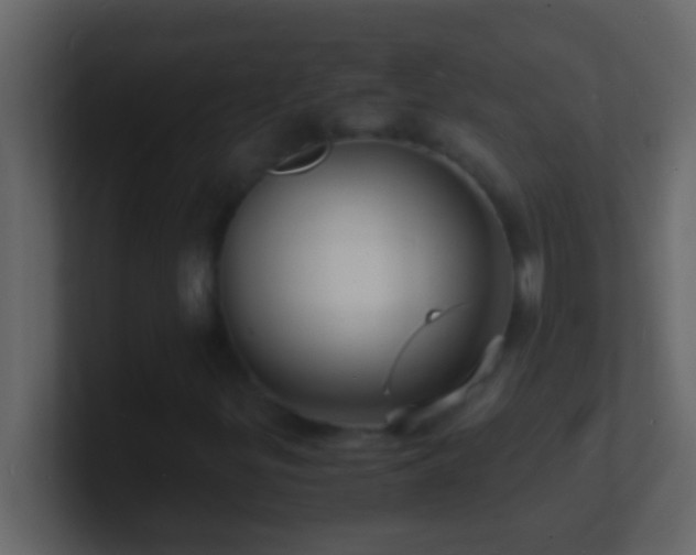 X0000101481299200807071455