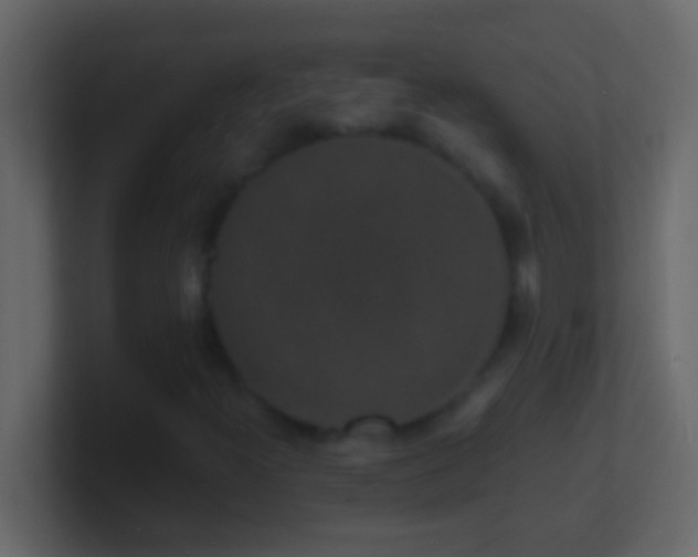 X0000101481300200807071455