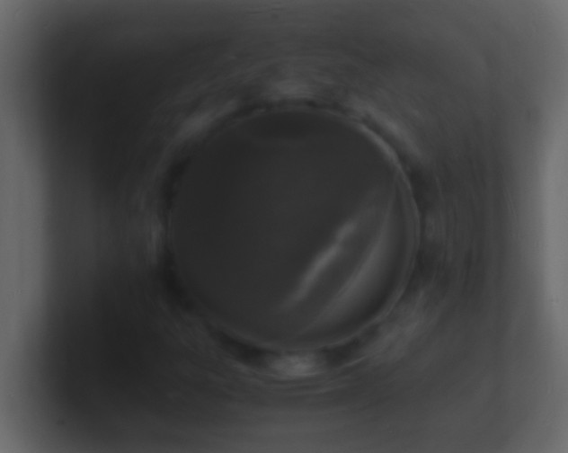 X0000101481303200807071455