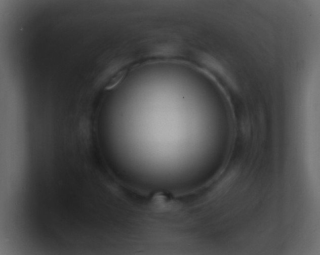 X0000101481304200807071455