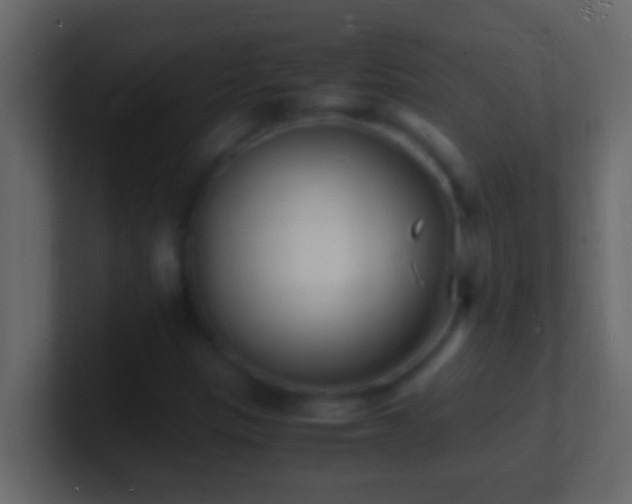 X0000101481305200807071455