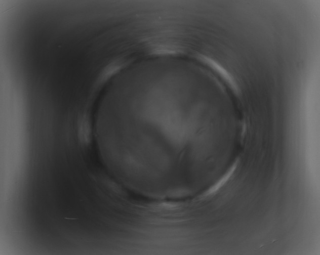 X0000101481306200807071455