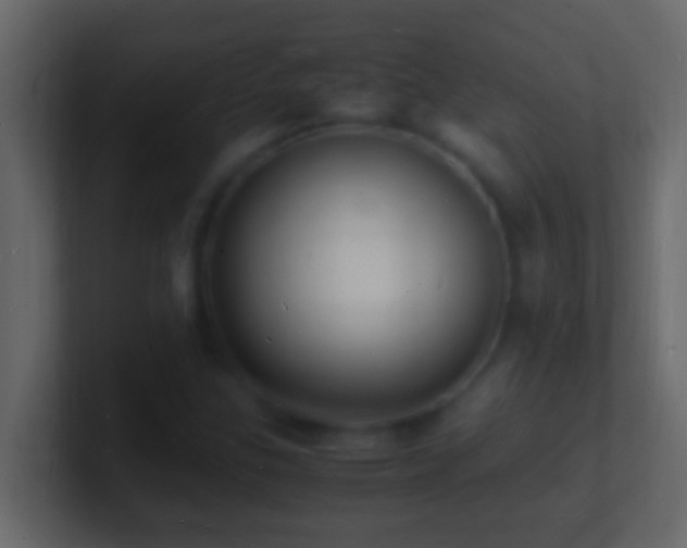 X0000101481307200807071455