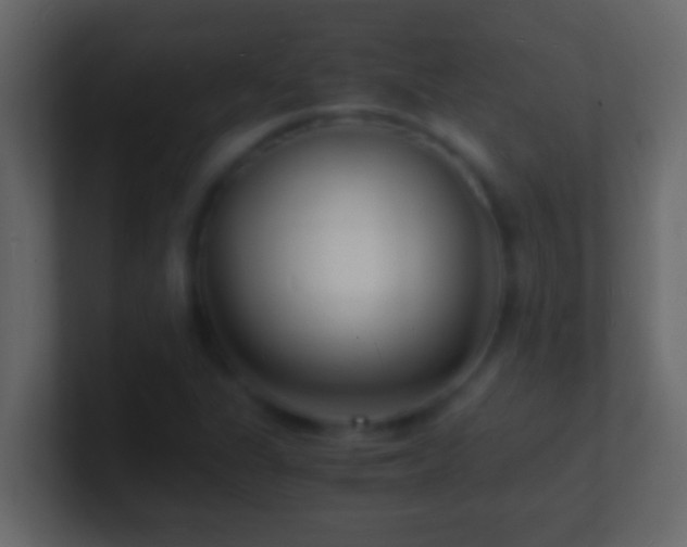 X0000101481311200807071455