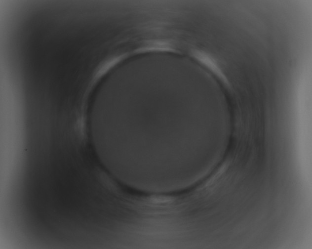 X0000101481312200807071455