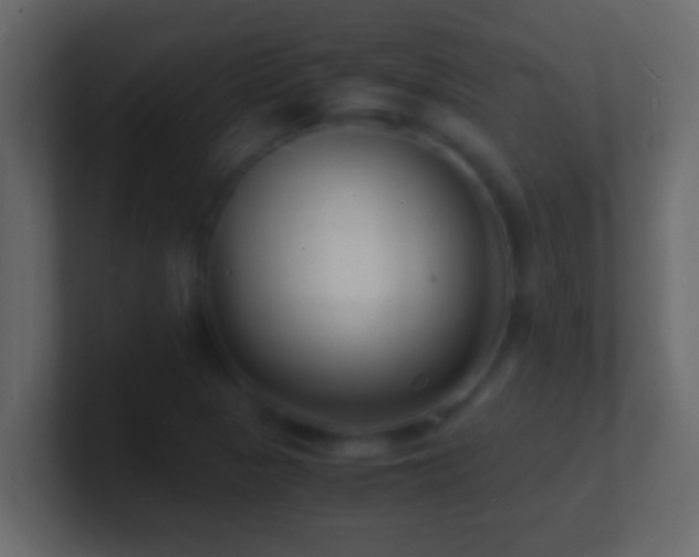 X0000101481313200807071455