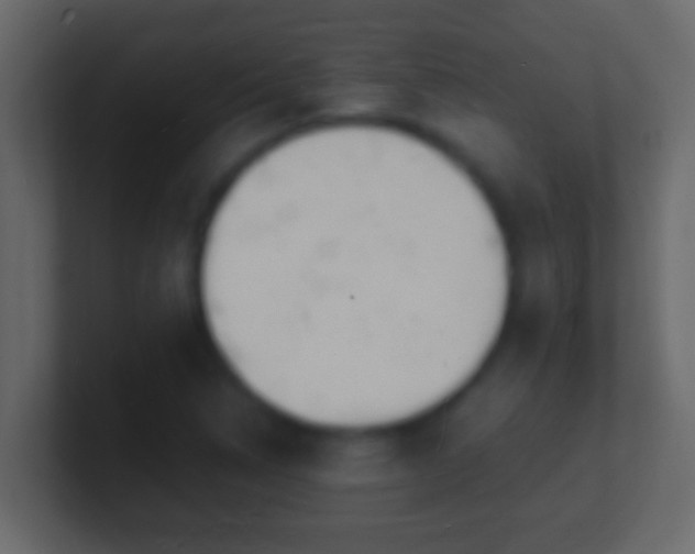 X0000101481314200807071455