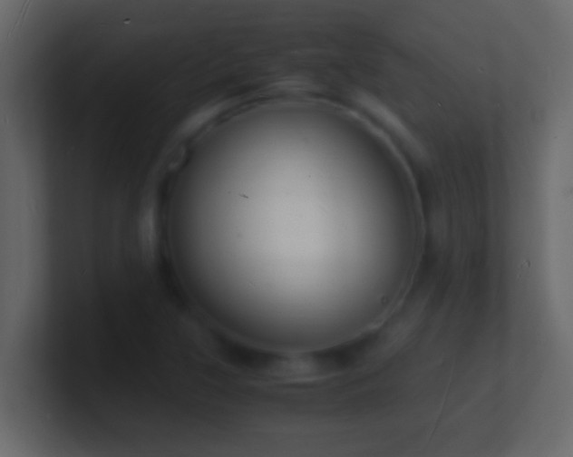 X0000101481315200807071455