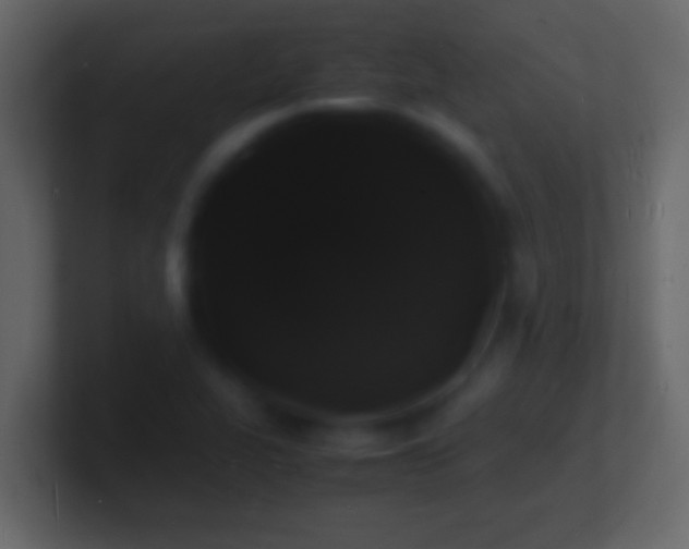 X0000101481319200807071455