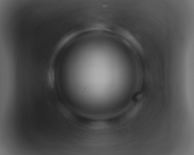X0000101481320200807071455